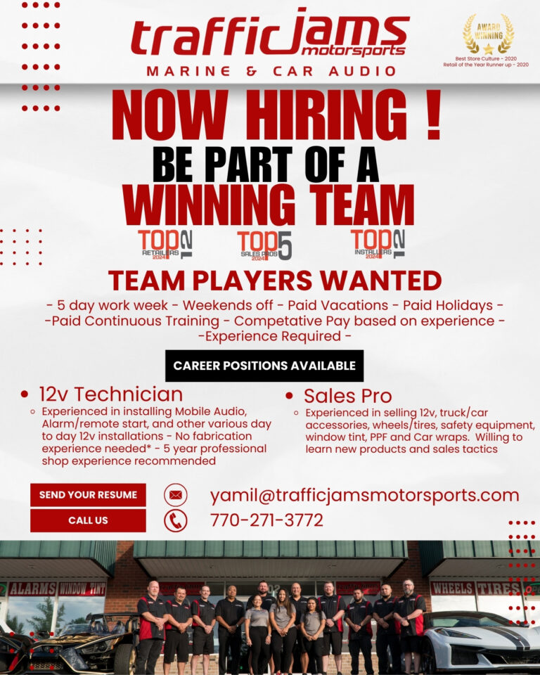 12v Technician Sales Pro 768x960